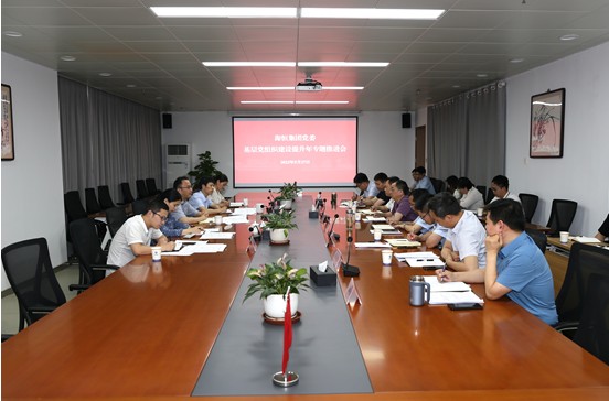 海恒集团党委召开基层党组织建设提升年专题推进会(小图).png